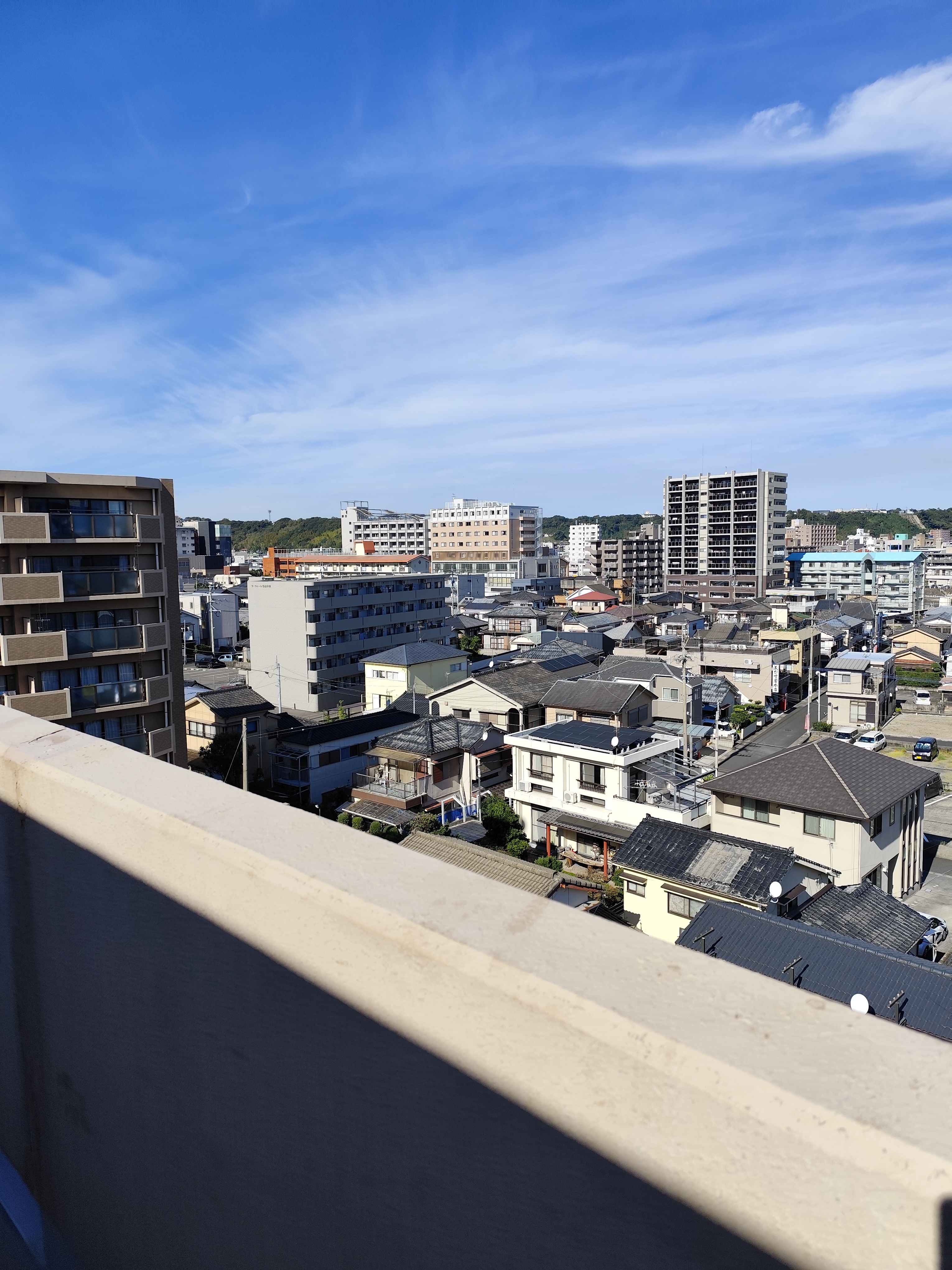 確定申告の注意点とサポート