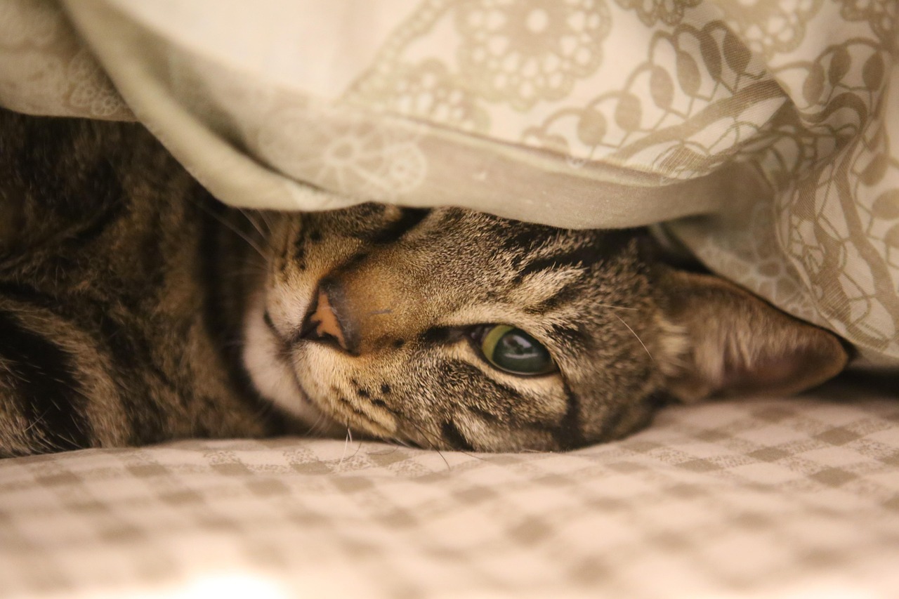 7. お問い合わせで理想の住まいを見つけよう！